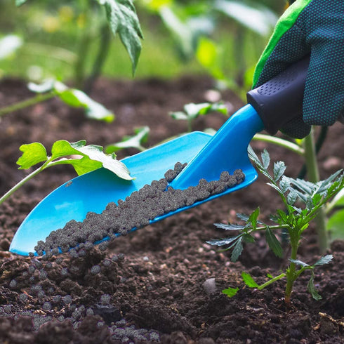 Jobes Organics 09126 Palm Tree Granular Plant Food, 4 lb